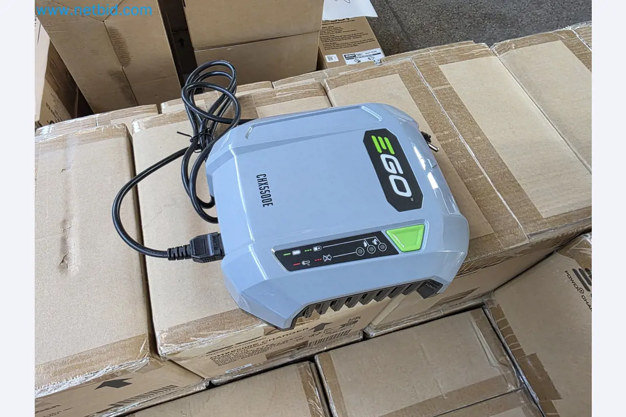 Auktion - EGO-Elektrowerkzeugen ungenutzt-2