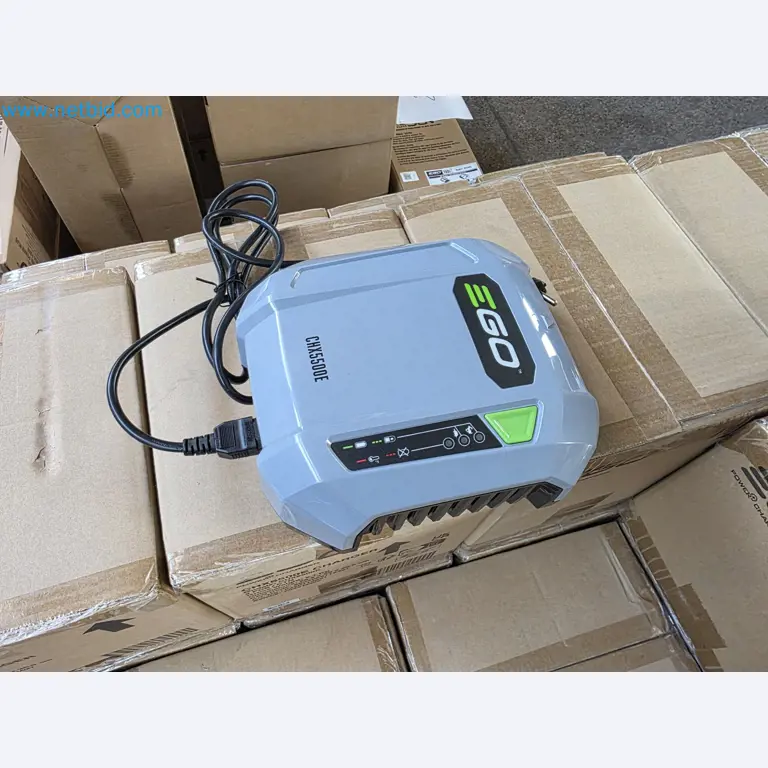 Auktion - EGO-Elektrowerkzeugen ungenutzt-2