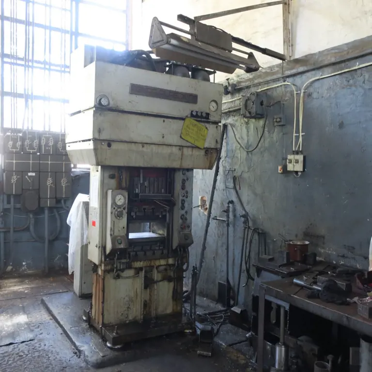 Prasa dwusrubowa hydrauliczna PONAR PLASOMAT PSHT/K-250