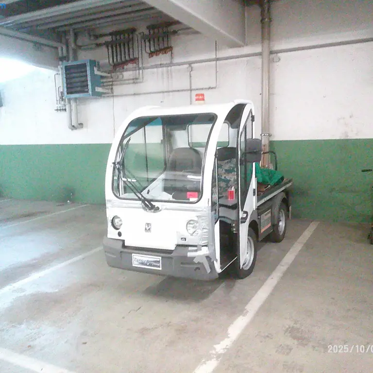 Electric platform truck GOUPIL G3