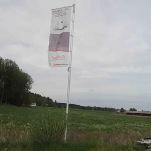 6 Aluminum flagpoles