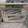 thumbnail-Machines de jardinage, pelles, véhicules de chantier & machines forestières-1