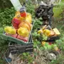 thumbnail-Machines de jardinage, pelles, véhicules de chantier & machines forestières-6