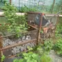 thumbnail-Machines de jardinage, pelles, véhicules de chantier & machines forestières-1