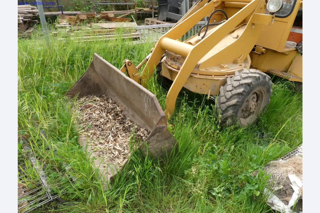 Gartenbau-Maschinen, Bagger, Baufahrzeuge & Forstmaschinen-7