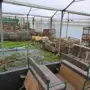 thumbnail-Zahradnické stroje, bagry, stavební vozidla a lesnické stroje-2