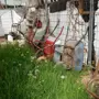 thumbnail-Machines de jardinage, pelles, véhicules de chantier & machines forestières-2