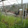 thumbnail-Machines de jardinage, pelles, véhicules de chantier & machines forestières-2