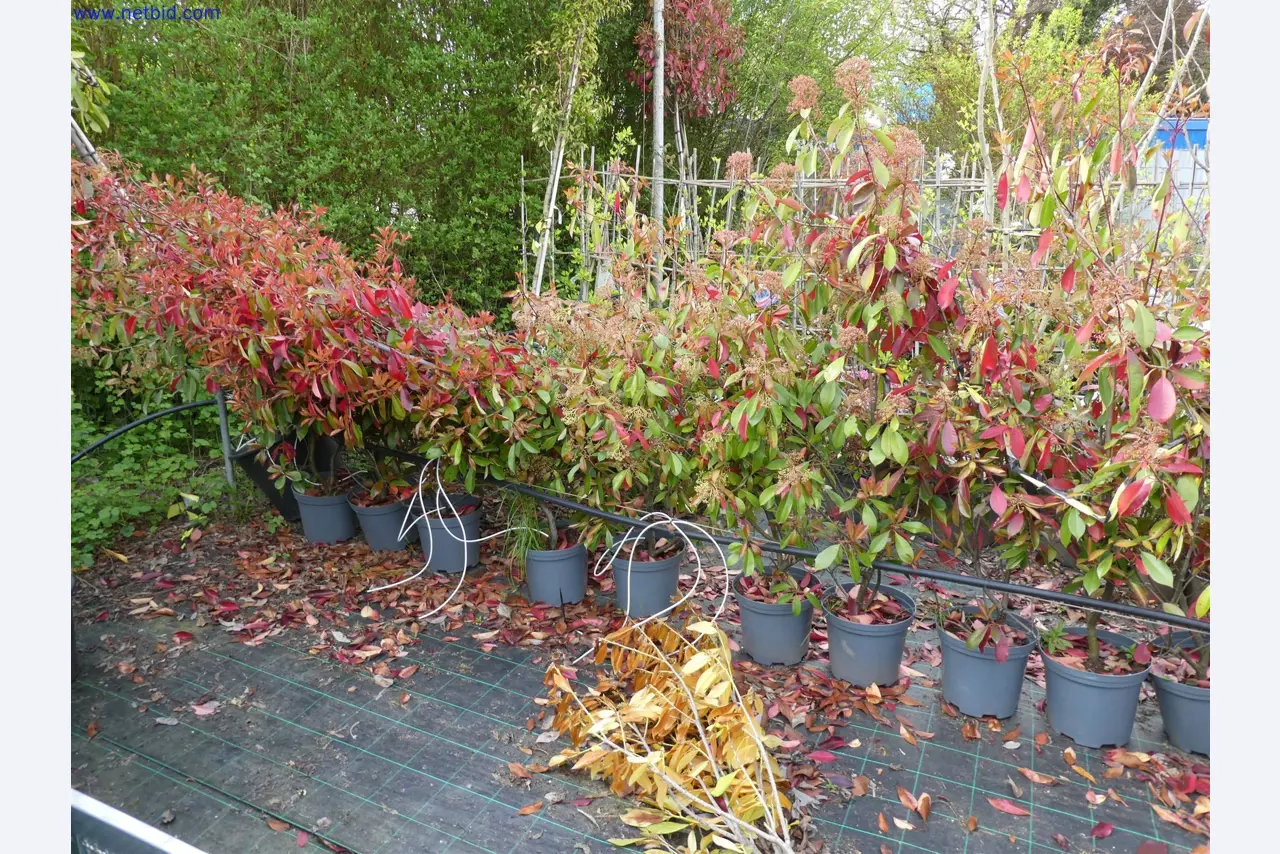 Máquinas para horticultura, escavadoras, veículos de construção e máquinas florestais-10