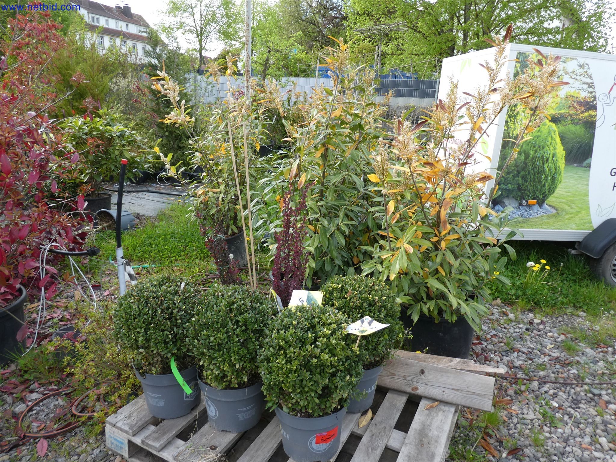 Machines de jardinage, pelles, véhicules de chantier & machines forestières-11