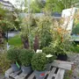 thumbnail-Machines de jardinage, pelles, véhicules de chantier & machines forestières-11