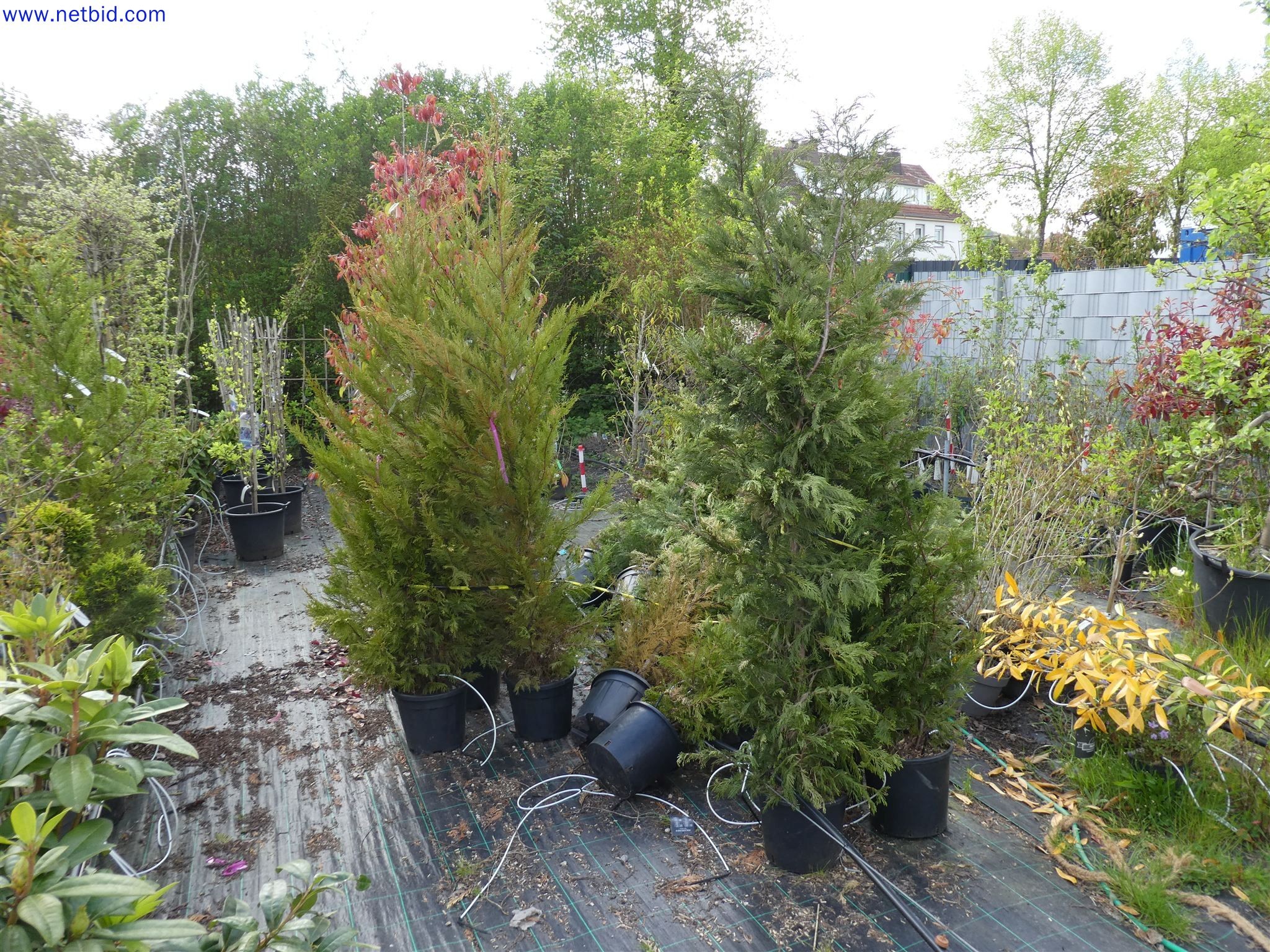 Machines de jardinage, pelles, véhicules de chantier & machines forestières-12