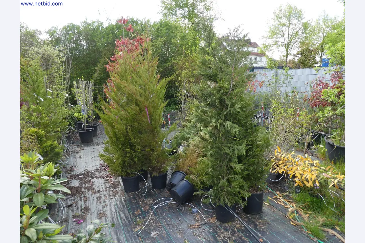 Máquinas para horticultura, escavadoras, veículos de construção e máquinas florestais-12