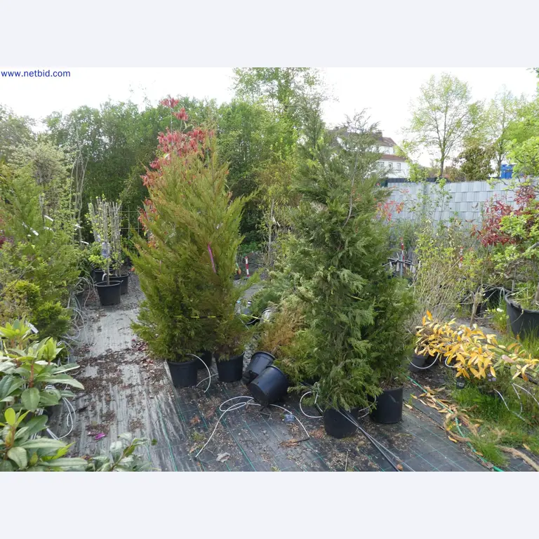 Máquinas para horticultura, escavadoras, veículos de construção e máquinas florestais-12