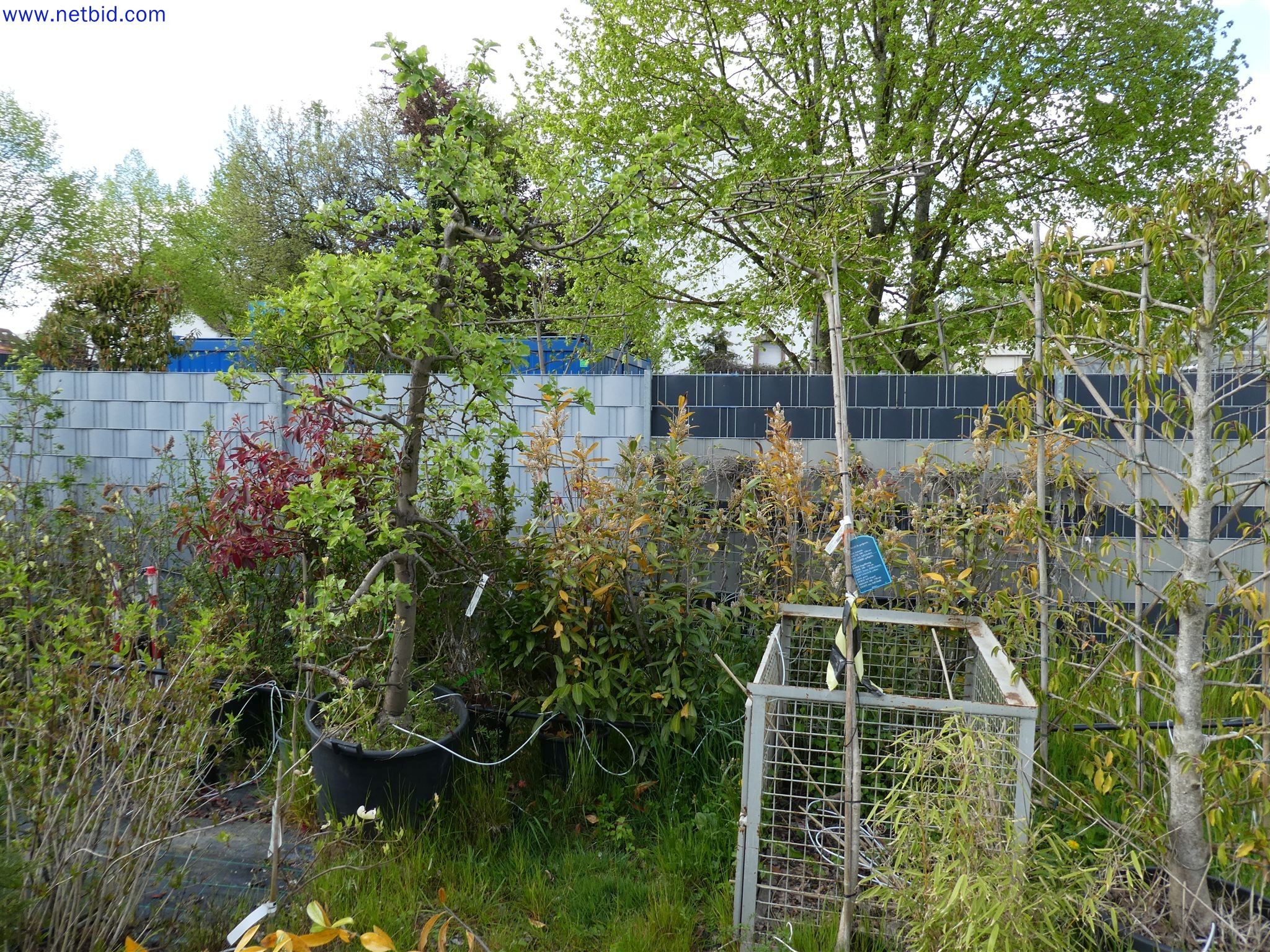 Machines de jardinage, pelles, véhicules de chantier & machines forestières-13
