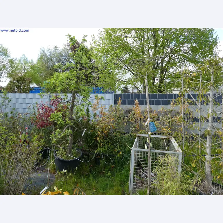 Máquinas para horticultura, escavadoras, veículos de construção e máquinas florestais-13