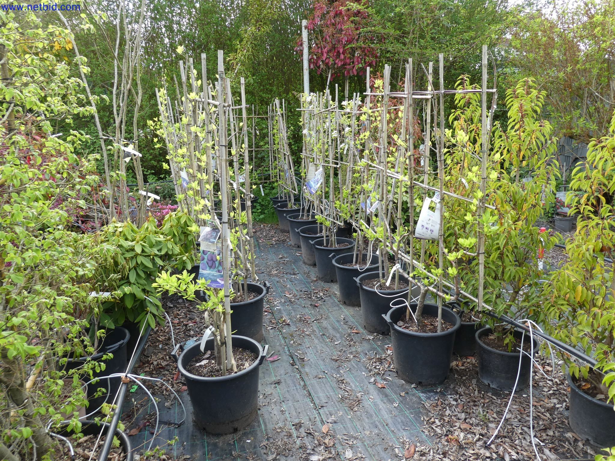Machines de jardinage, pelles, véhicules de chantier & machines forestières-14