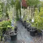 thumbnail-Machines de jardinage, pelles, véhicules de chantier & machines forestières-14