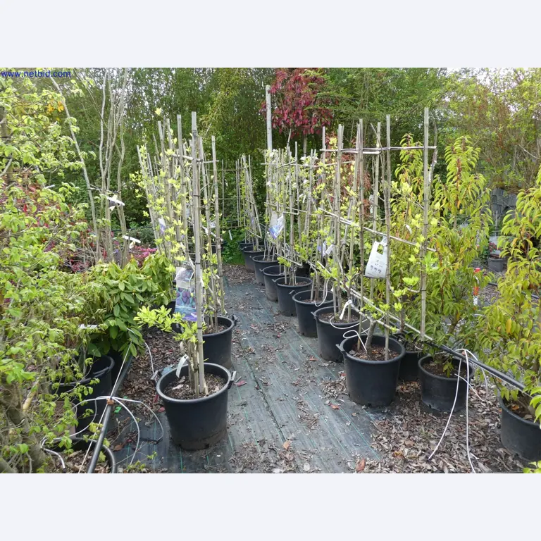 Máquinas para horticultura, escavadoras, veículos de construção e máquinas florestais-14