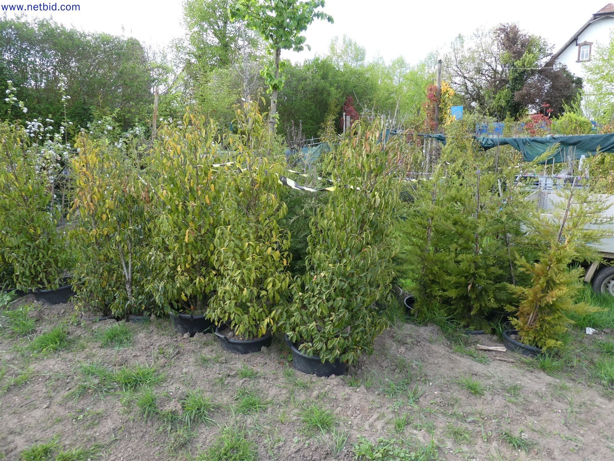 Machines de jardinage, pelles, véhicules de chantier & machines forestières-1