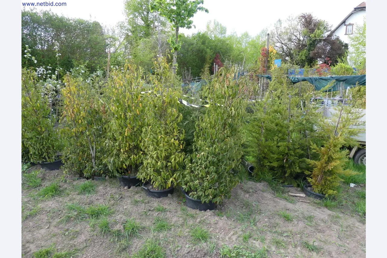 Máquinas para horticultura, escavadoras, veículos de construção e máquinas florestais-1