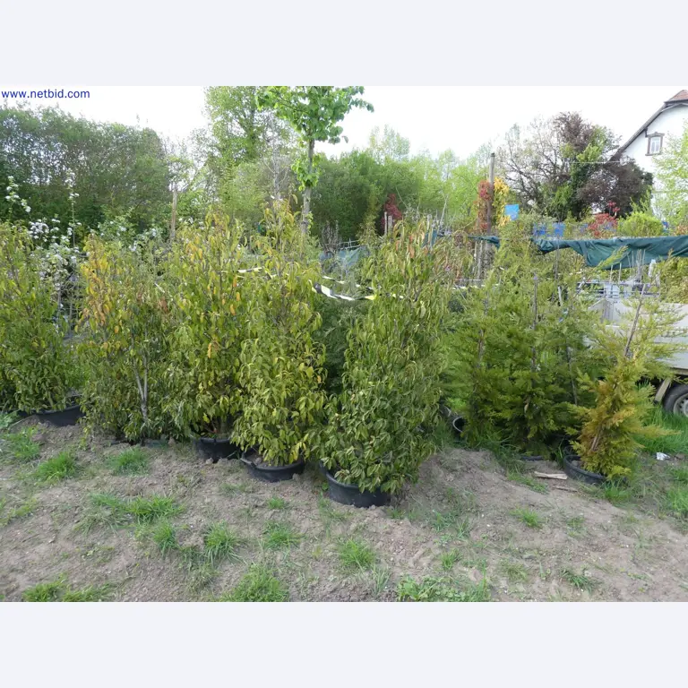 Máquinas para horticultura, escavadoras, veículos de construção e máquinas florestais-1