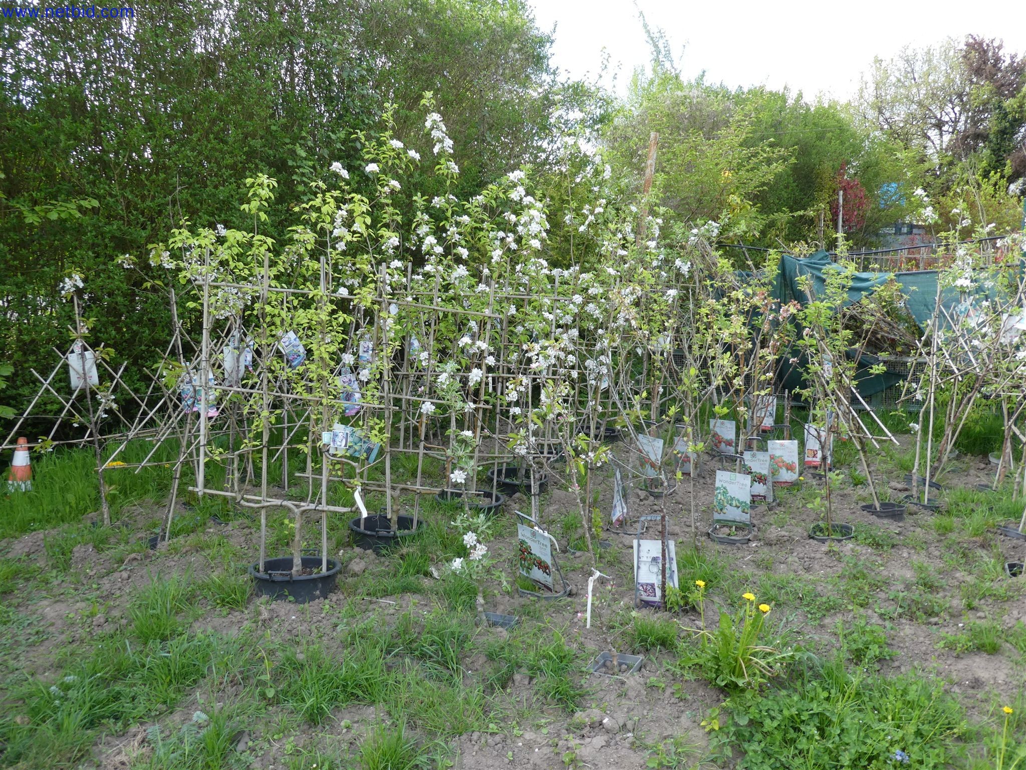 Machines de jardinage, pelles, véhicules de chantier & machines forestières-2