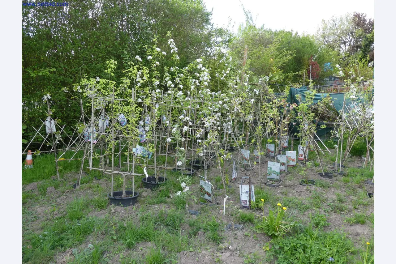 Máquinas para horticultura, escavadoras, veículos de construção e máquinas florestais-2