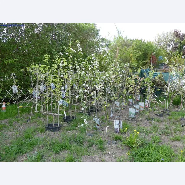 Máquinas para horticultura, escavadoras, veículos de construção e máquinas florestais-2