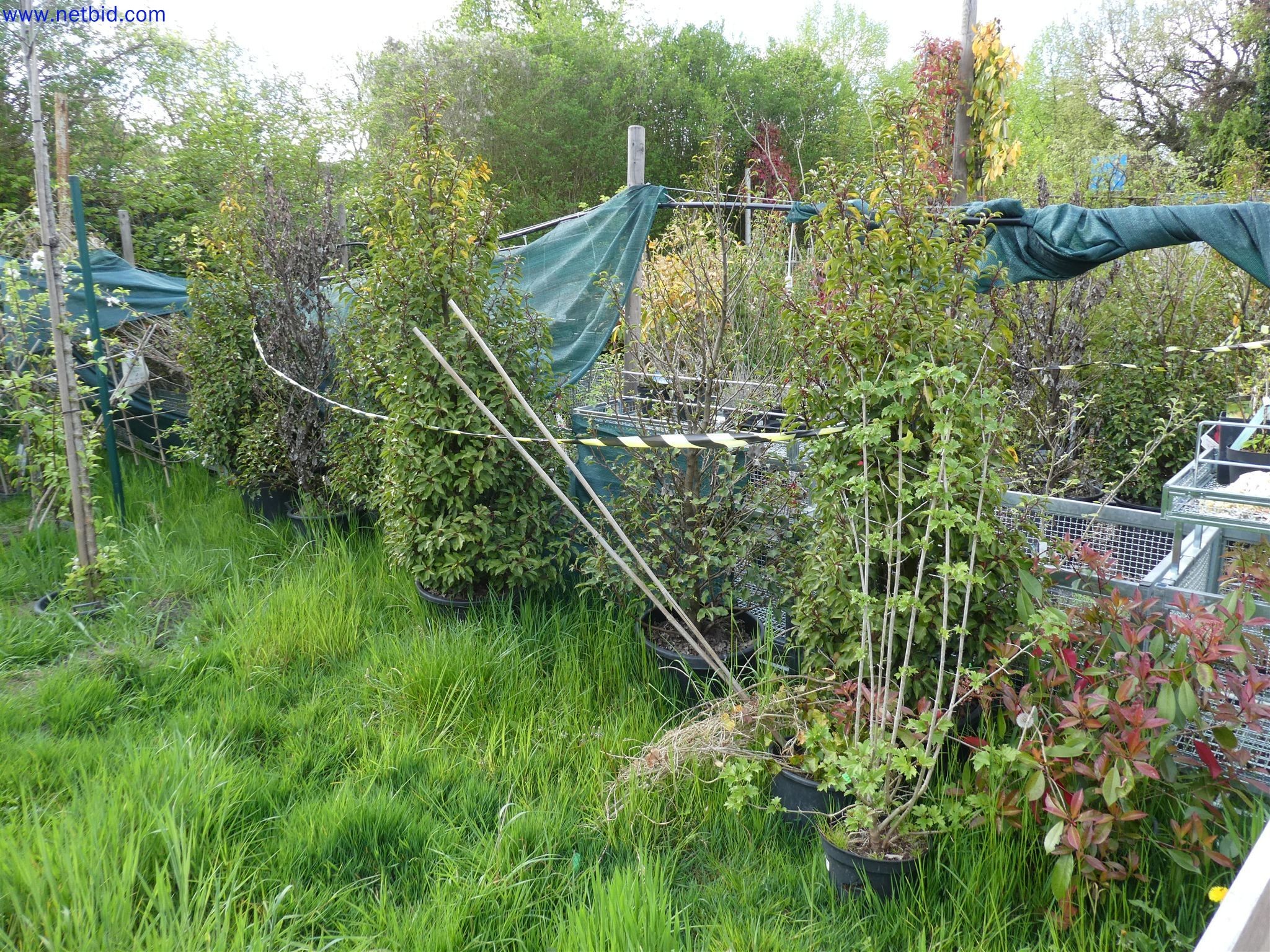 Machines de jardinage, pelles, véhicules de chantier & machines forestières-3