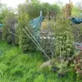 thumbnail-Machines de jardinage, pelles, véhicules de chantier & machines forestières-3