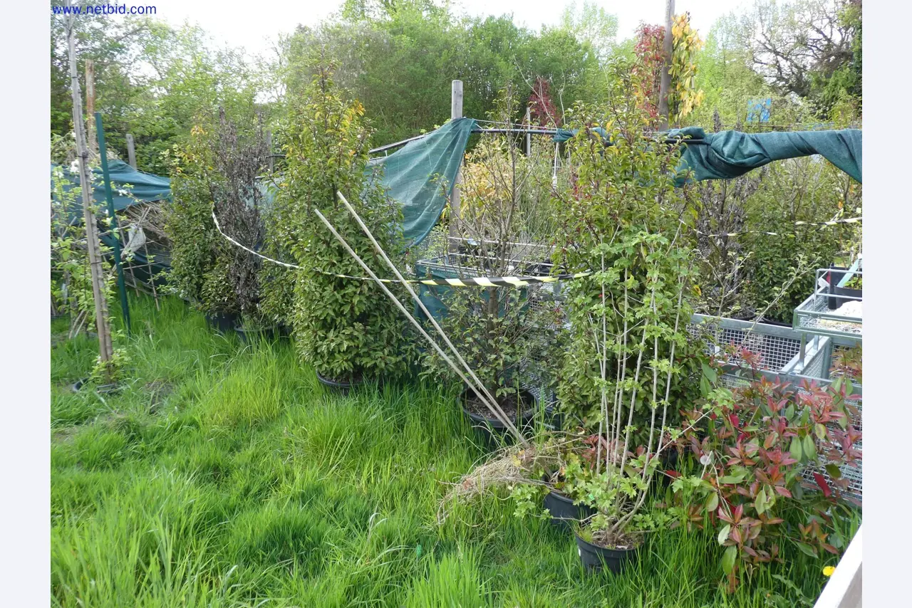 Máquinas para horticultura, escavadoras, veículos de construção e máquinas florestais-3