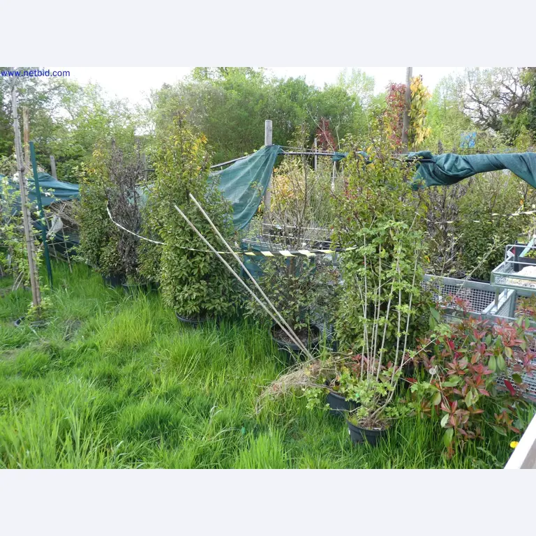 Máquinas para horticultura, escavadoras, veículos de construção e máquinas florestais-3