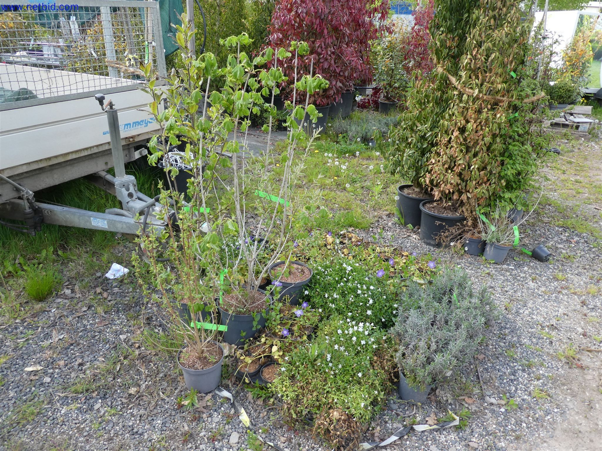 Machines de jardinage, pelles, véhicules de chantier & machines forestières-4
