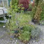 thumbnail-Machines de jardinage, pelles, véhicules de chantier & machines forestières-4
