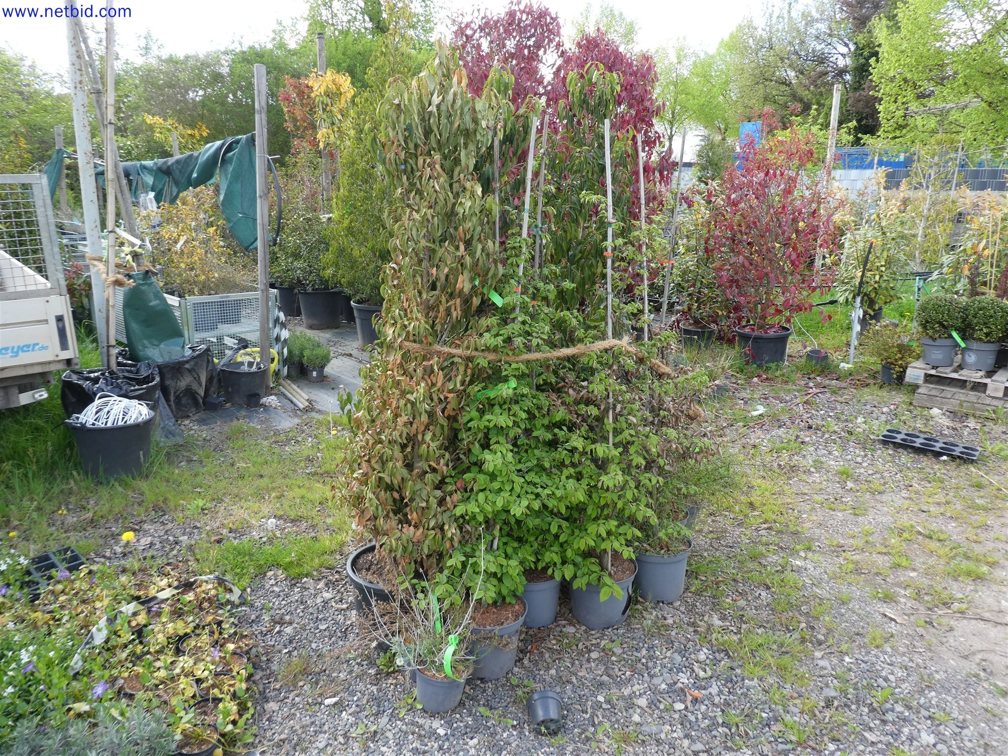 Machines de jardinage, pelles, véhicules de chantier & machines forestières-5