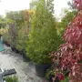 thumbnail-Machines de jardinage, pelles, véhicules de chantier & machines forestières-7