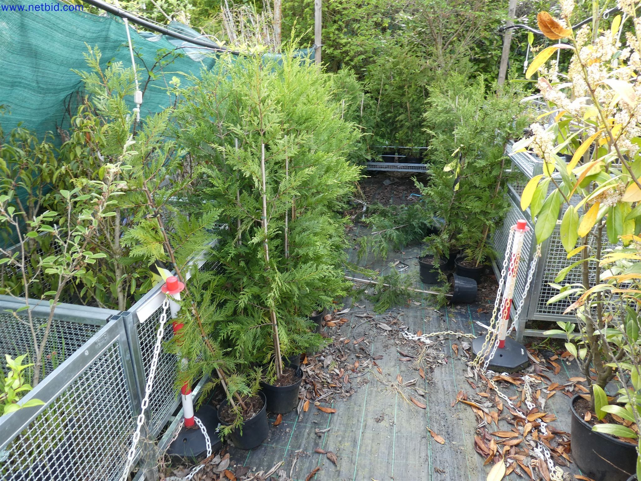 Machines de jardinage, pelles, véhicules de chantier & machines forestières-8
