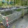 thumbnail-Machines de jardinage, pelles, véhicules de chantier & machines forestières-3