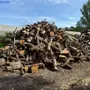 thumbnail-Machines de jardinage, pelles, véhicules de chantier & machines forestières-1