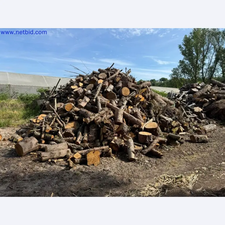 Gartenbau-Maschinen, Bagger, Baufahrzeuge & Forstmaschinen-1