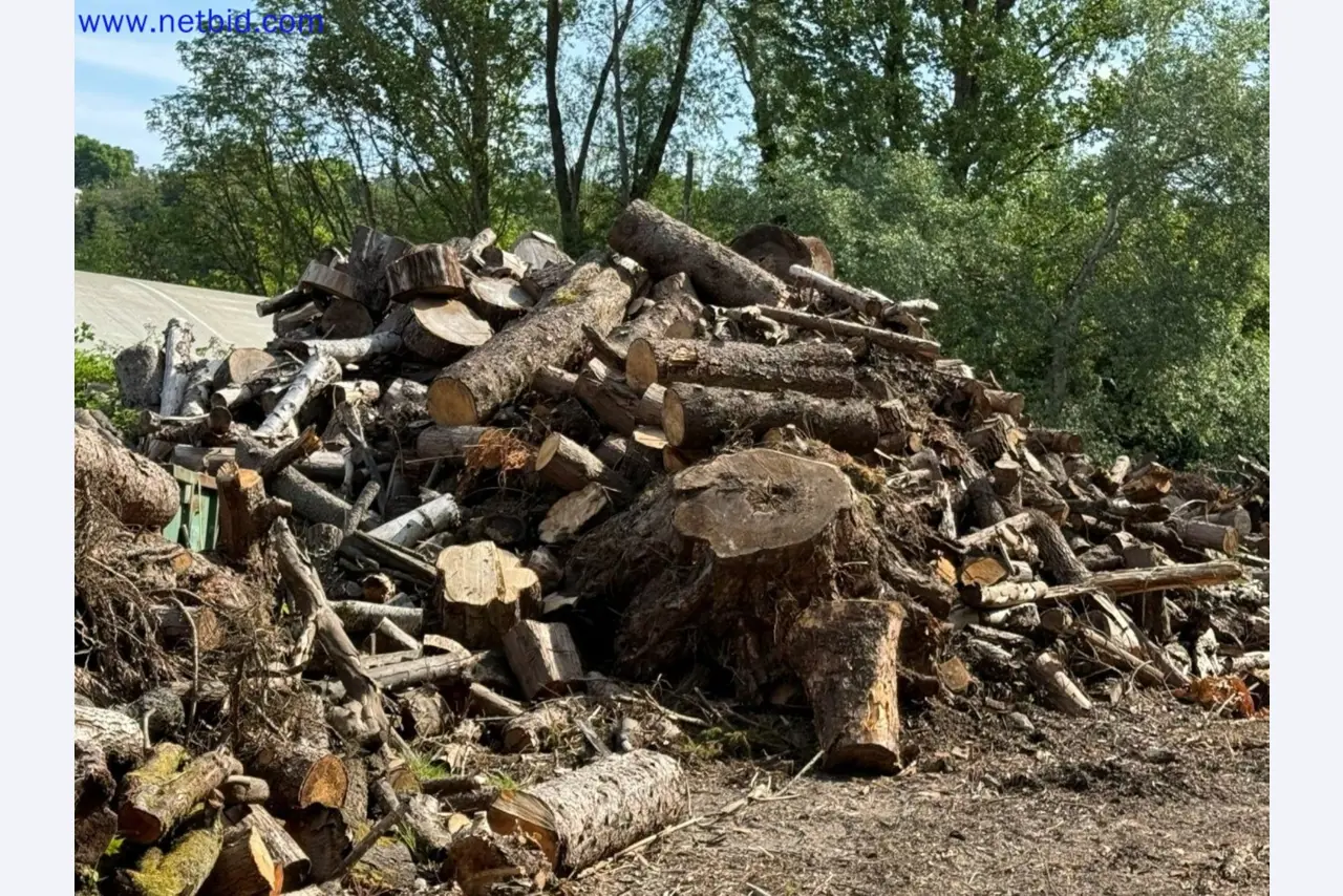 Gartenbau-Maschinen, Bagger, Baufahrzeuge & Forstmaschinen-2