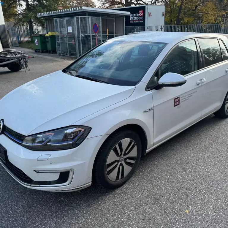 PASSENGER CAR (M1) VW e-Golf