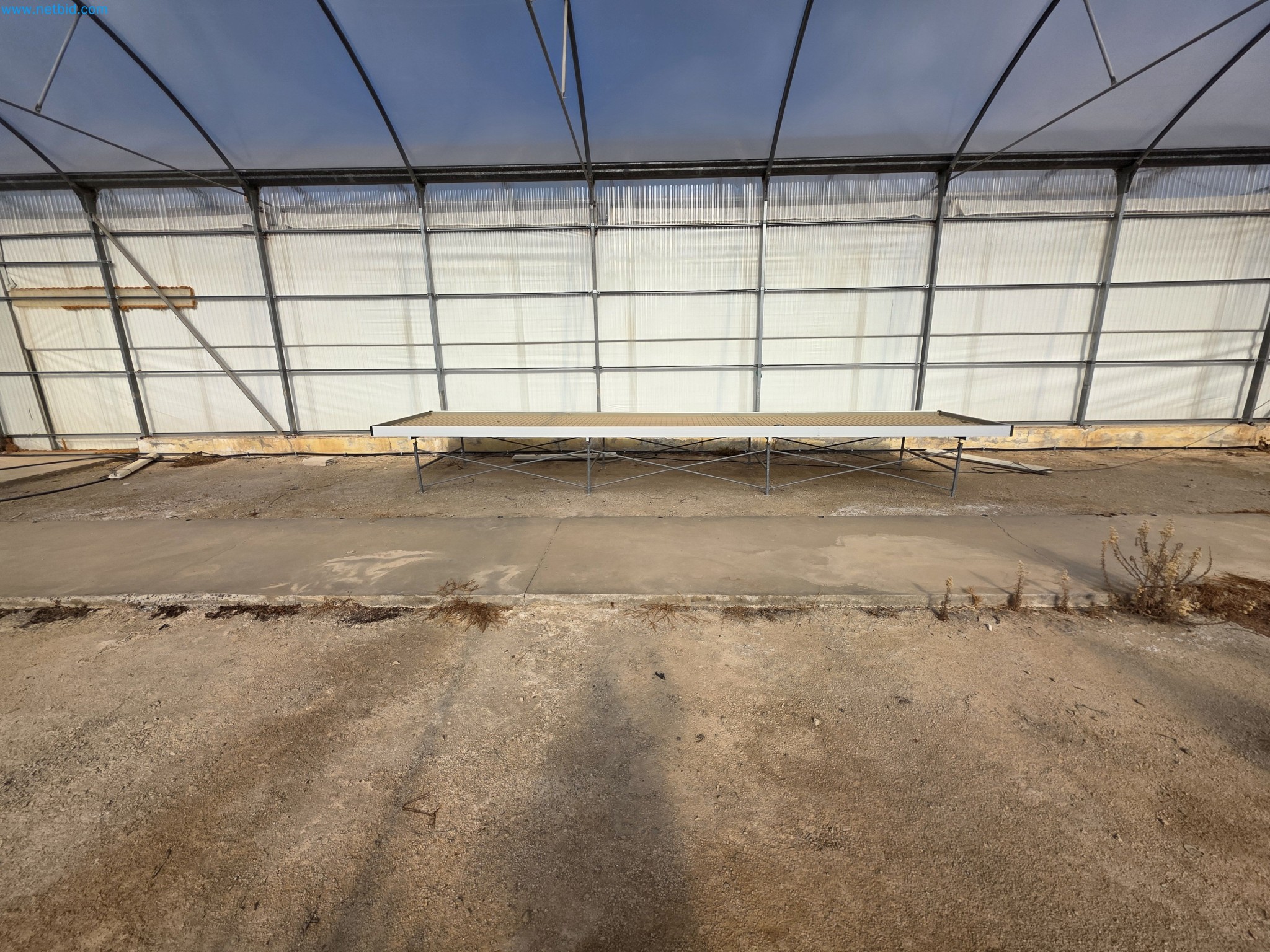 Máquinas y equipos de laboratorio de una empresa para el cultivo de cannabis medicinal-3