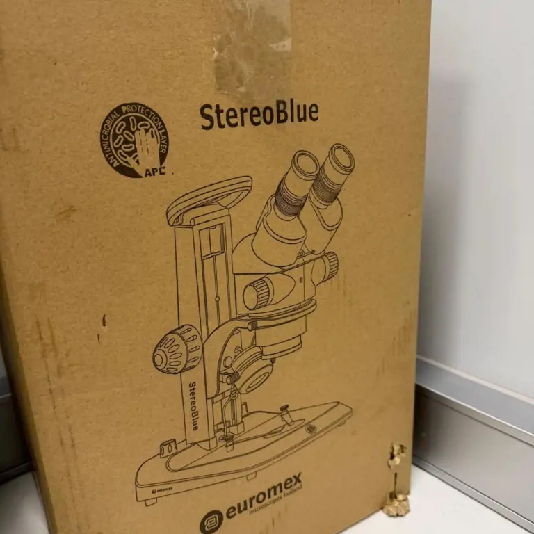 Microscopio EUROMEX STEREO BLUE 1902