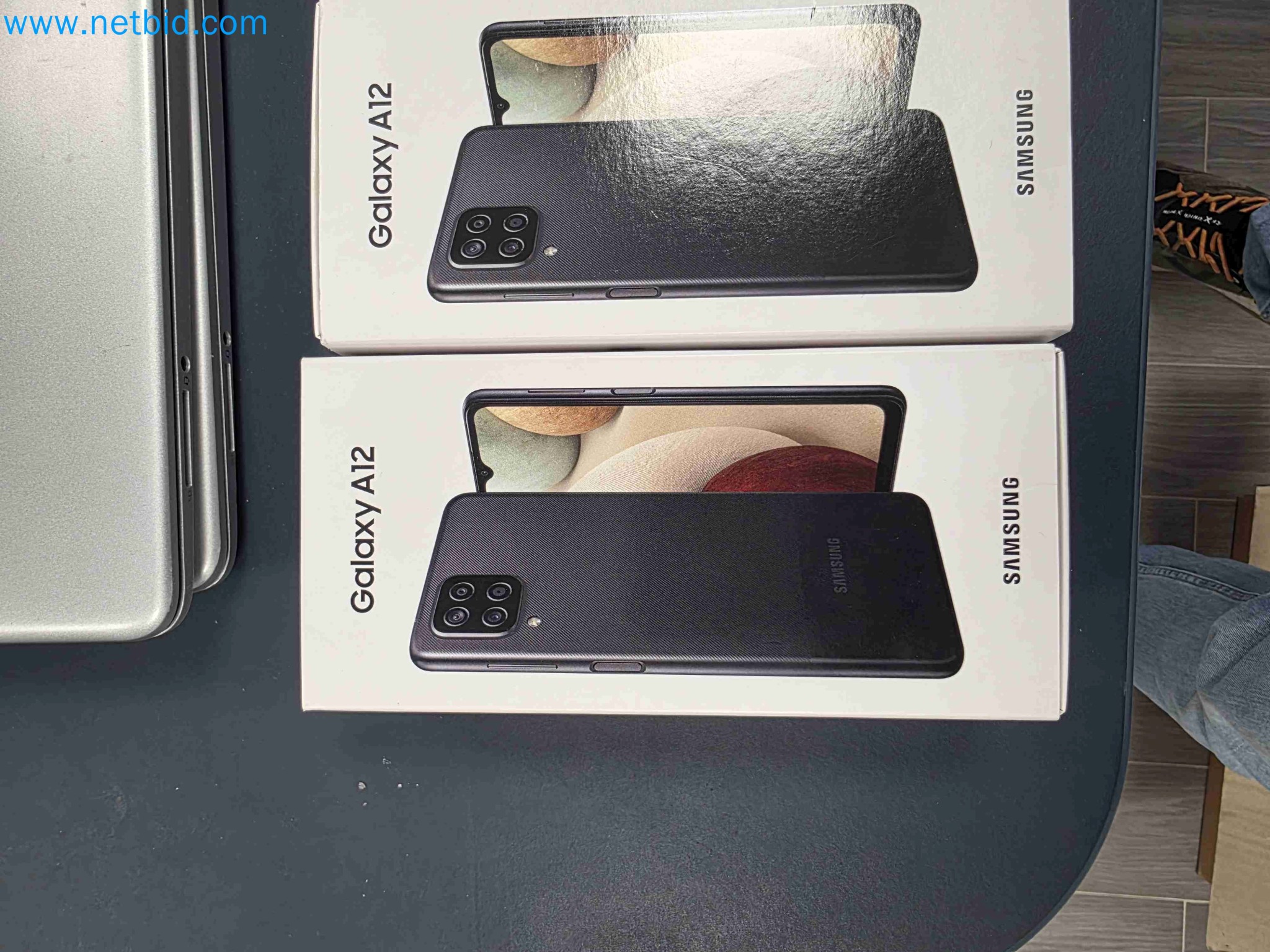 Laboratory machinery and equipment for in vitro cultivation of plants and plant species-65