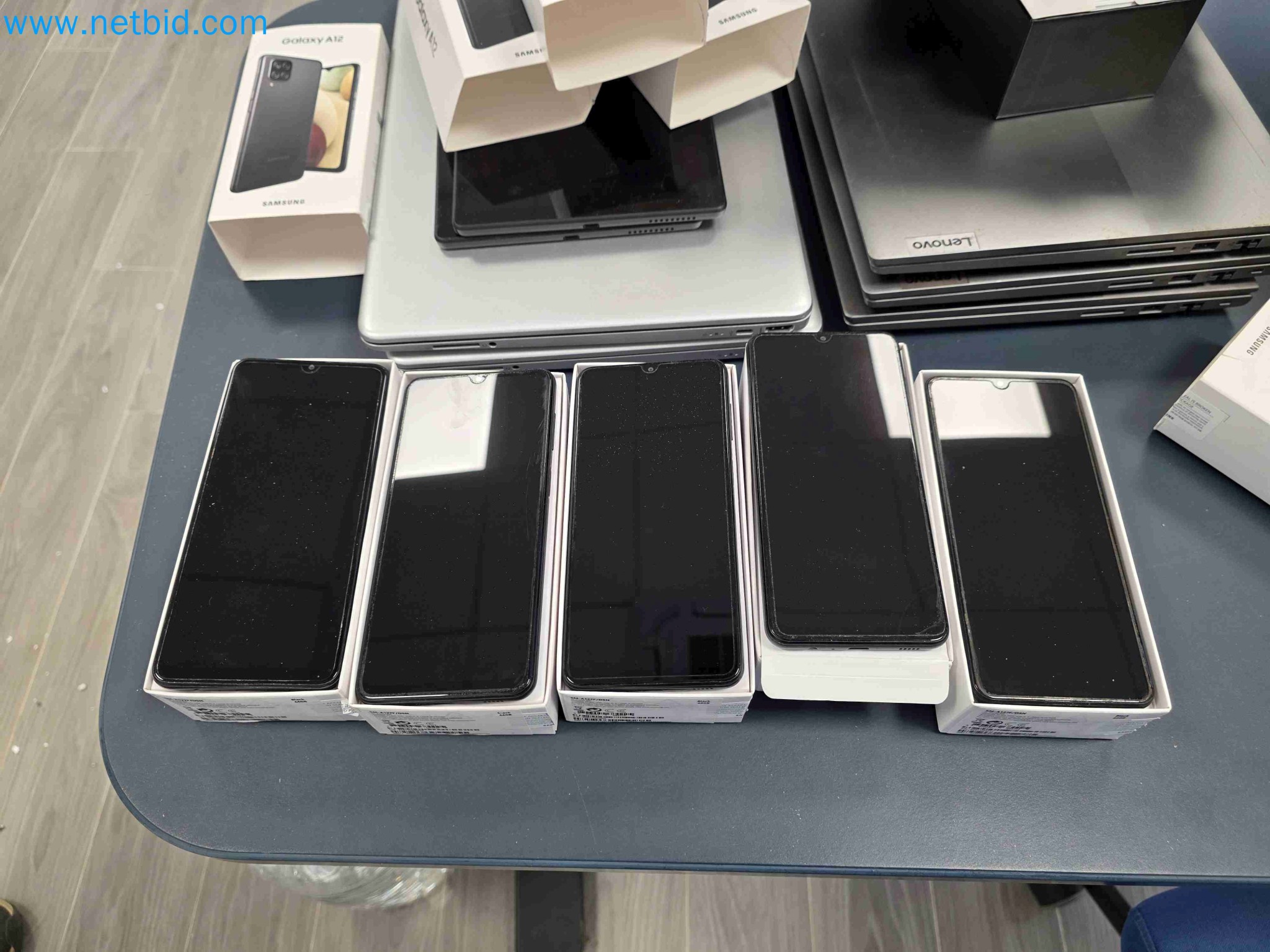 Laboratory machinery and equipment for in vitro cultivation of plants and plant species-66