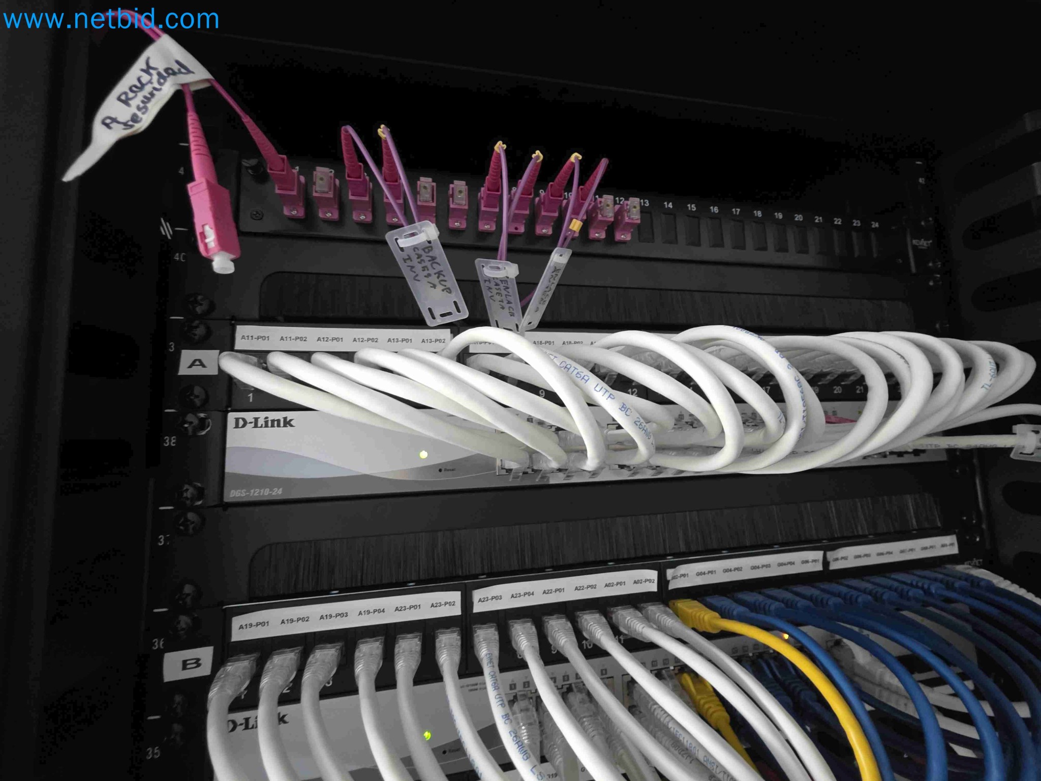 Laboratory machinery and equipment for in vitro cultivation of plants and plant species-73