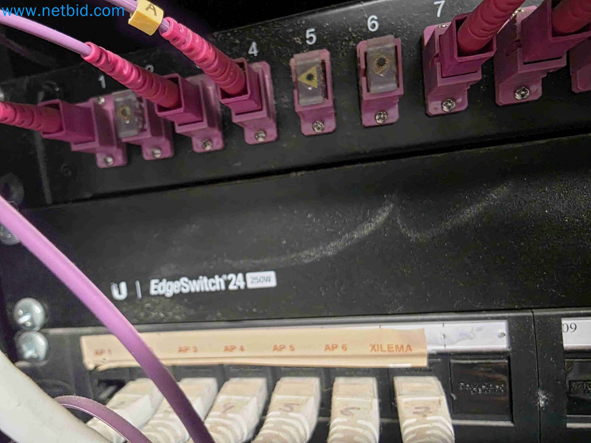 Maschinen und Laborausstattung eines Unternehmens für die In-vitro-Kultivierung von Pflanzen und Pflanzenarten-24