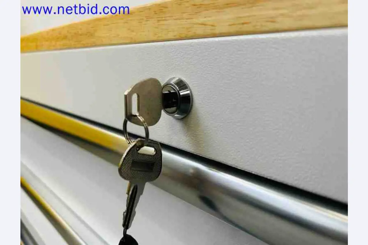 Machines et outils professionnels des Pays-Bas-11